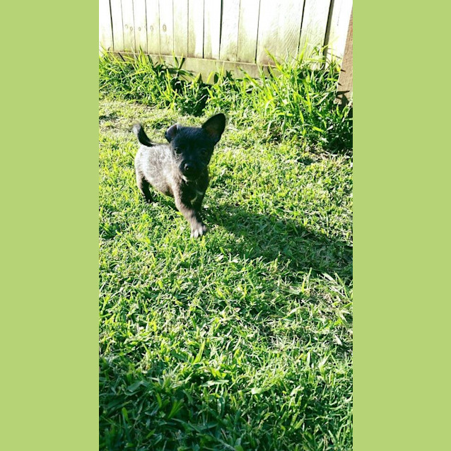 Photo of Ralph 