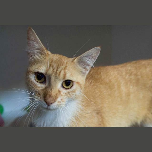 Photo of Sally