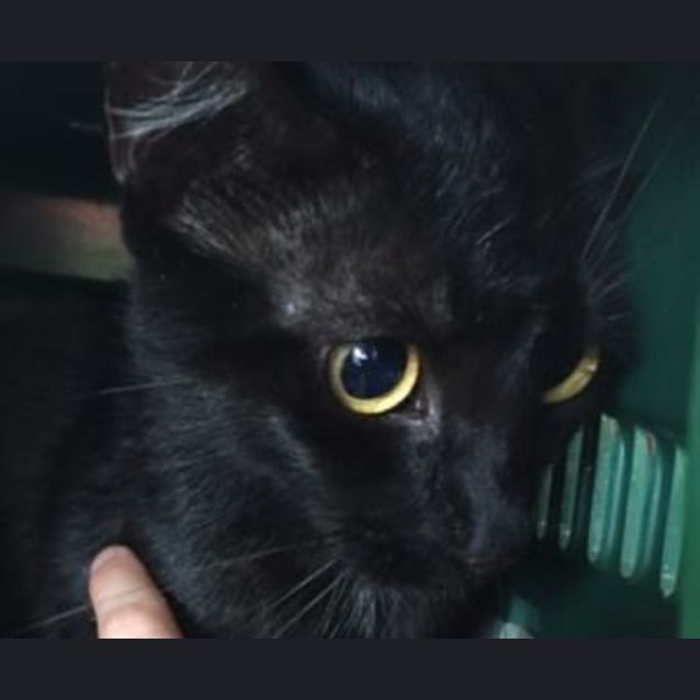 Photo of Zoe