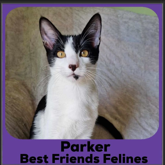 Photo of Parker