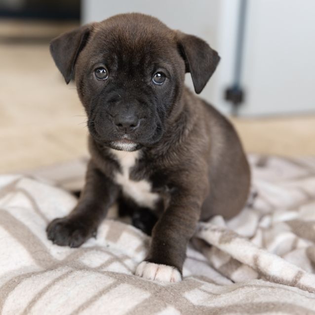 Photo of Matilda