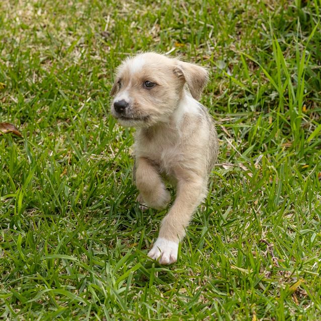 Photo of Morty