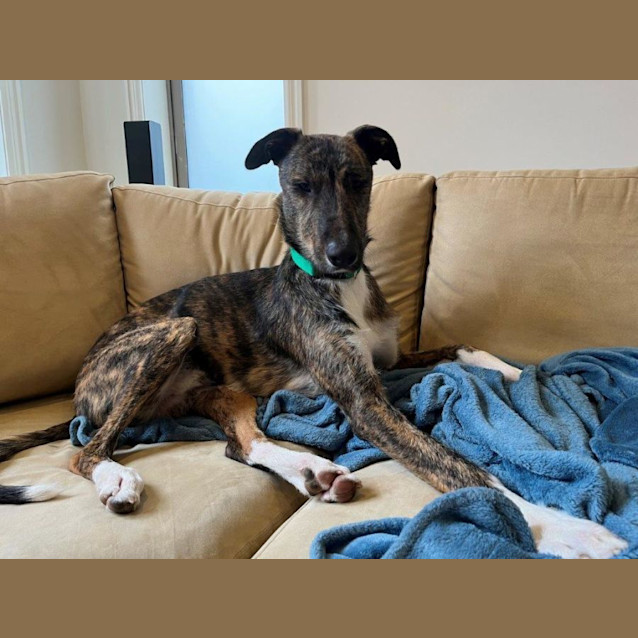 Photo of Murphy Tremayne