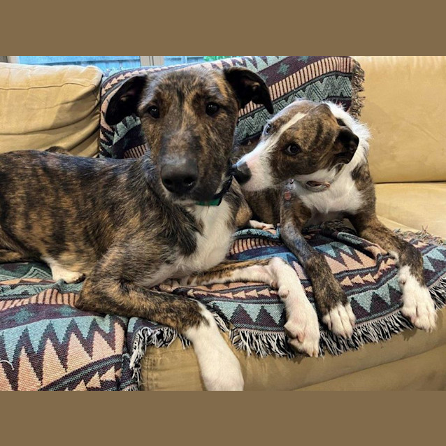 Photo of Murphy Tremayne