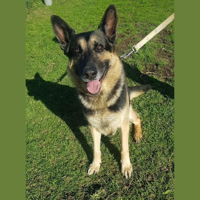 Photo of Jet (39642)