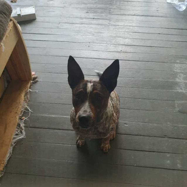 Photo of Zeke