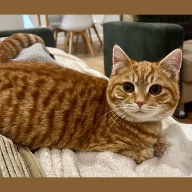 Photo of Fred Weasley