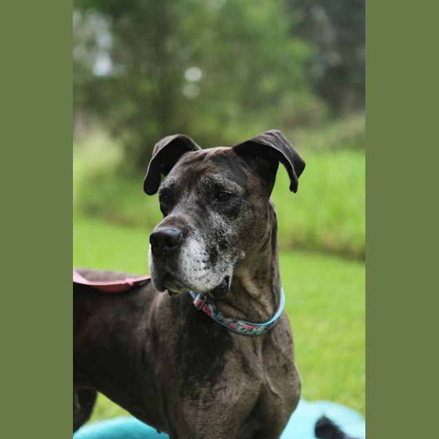 Photo of Ralf
