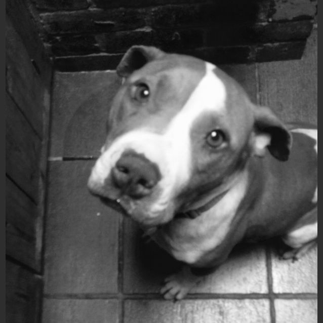 Photo of Maggie