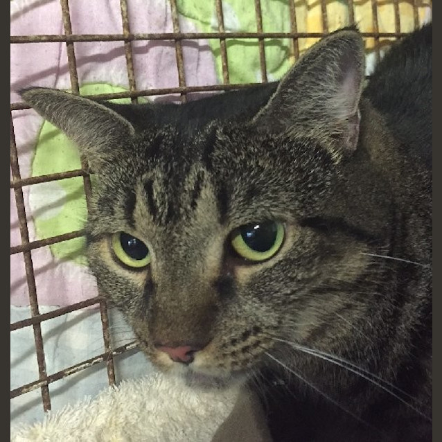 Photo of Kiki