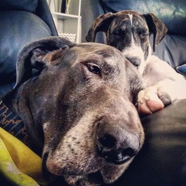 Photo of Taylor (Aka T Swizzle)