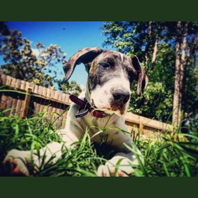 Photo of Taylor (Aka T Swizzle)