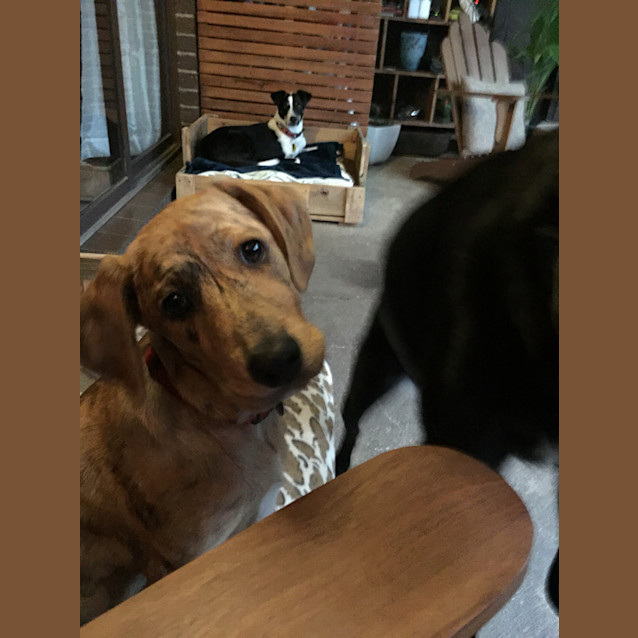 Photo of Nell (Nellie)