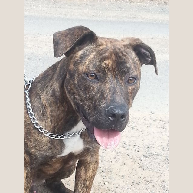 Photo of Mr Bojangles