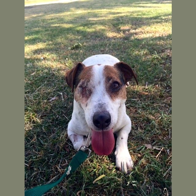 Photo of Eddie The Brave!