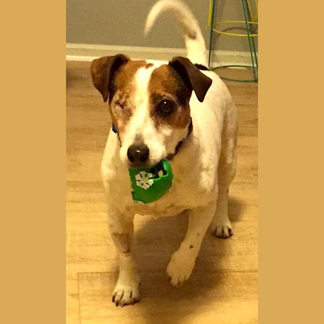 Photo of Eddie The Brave!
