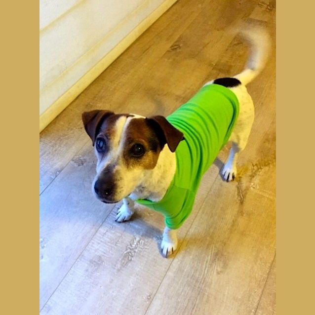 Photo of Eddie The Brave!