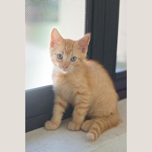 Photo of Cashee