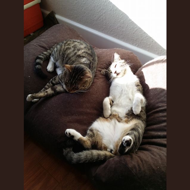 Photo of Kramer And Newman