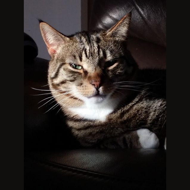 Photo of Newman And Kramer 