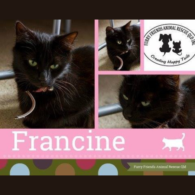 Photo of Fancine