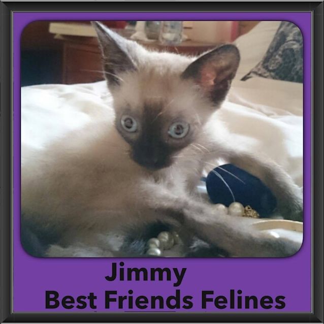 Photo of Jimmy 
