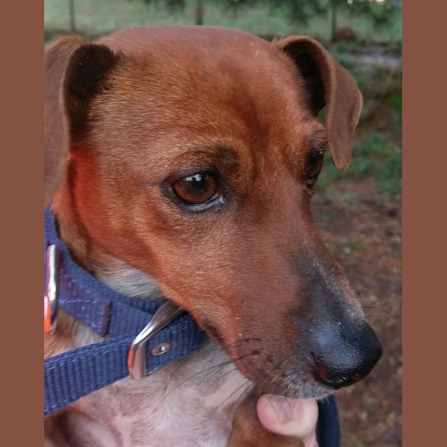 Photo of Spike