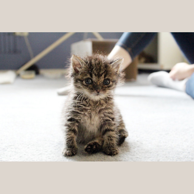 Photo of Rocket