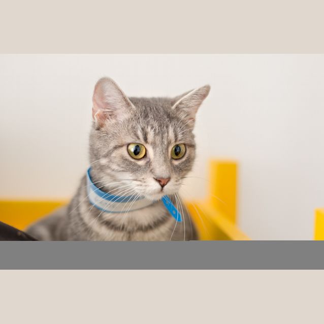 Photo of May
