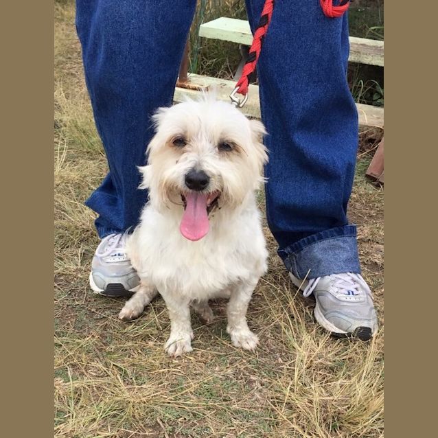 Photo of Toby