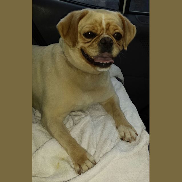 Photo of Tilly