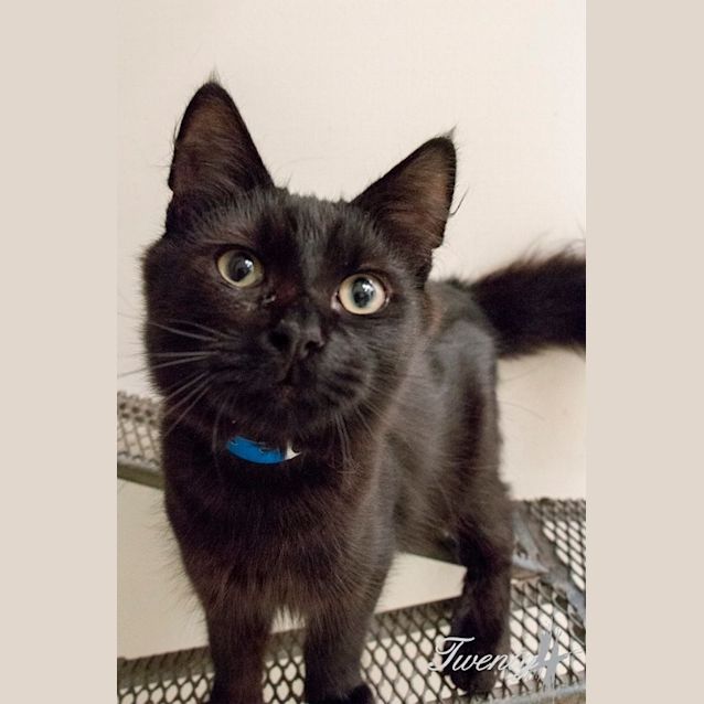 Photo of Leeds (0918)