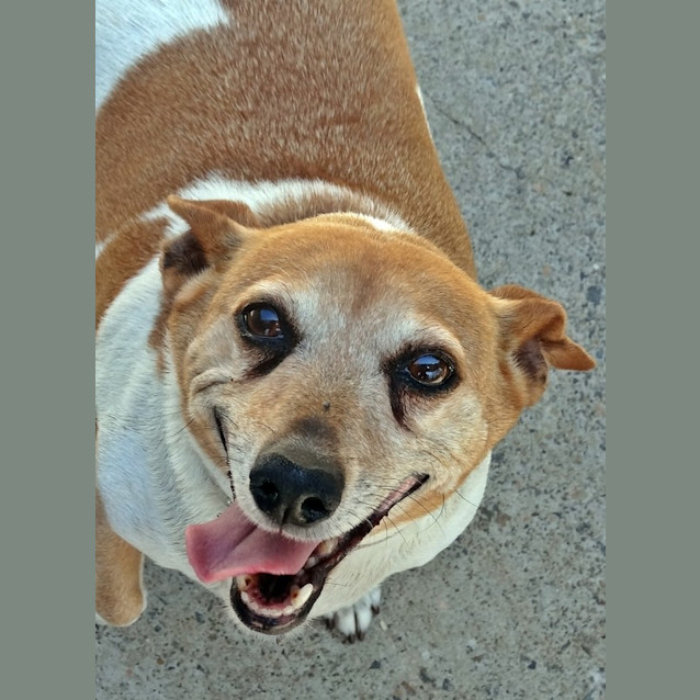 Photo of Roly