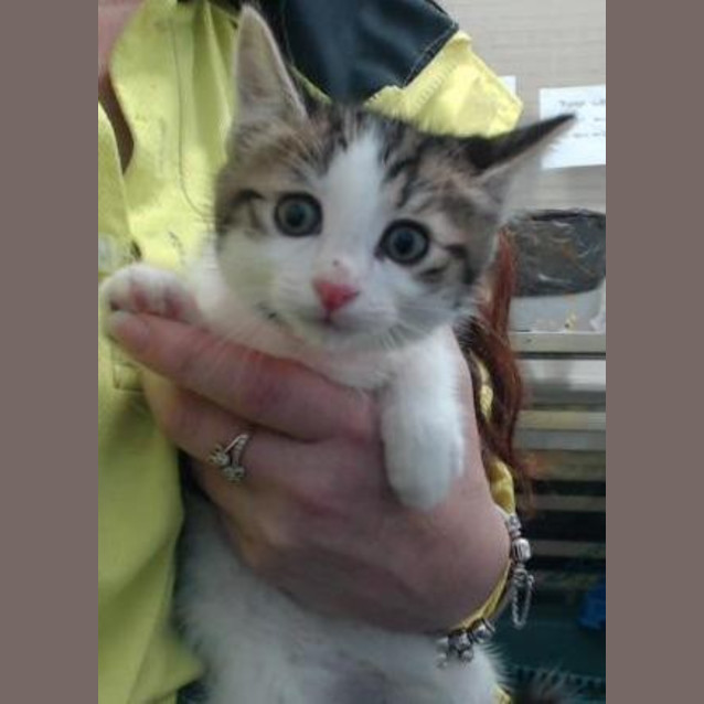 Photo of Charlie (4716)