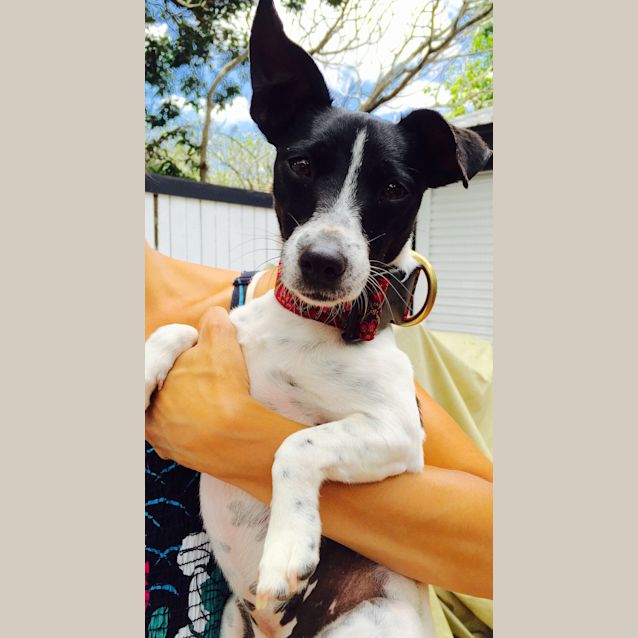 Photo of Lola