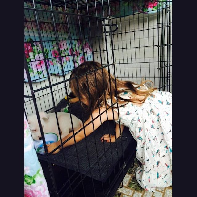 Photo of Lexi