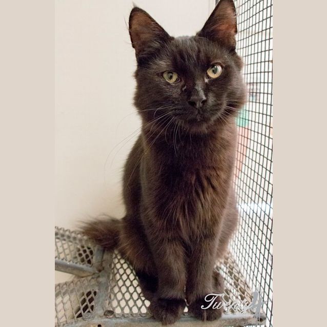 Photo of Leeds (0918)