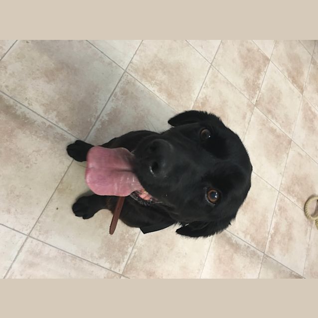 Photo of Charlie