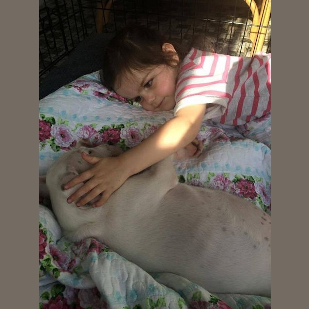 Photo of Lexi