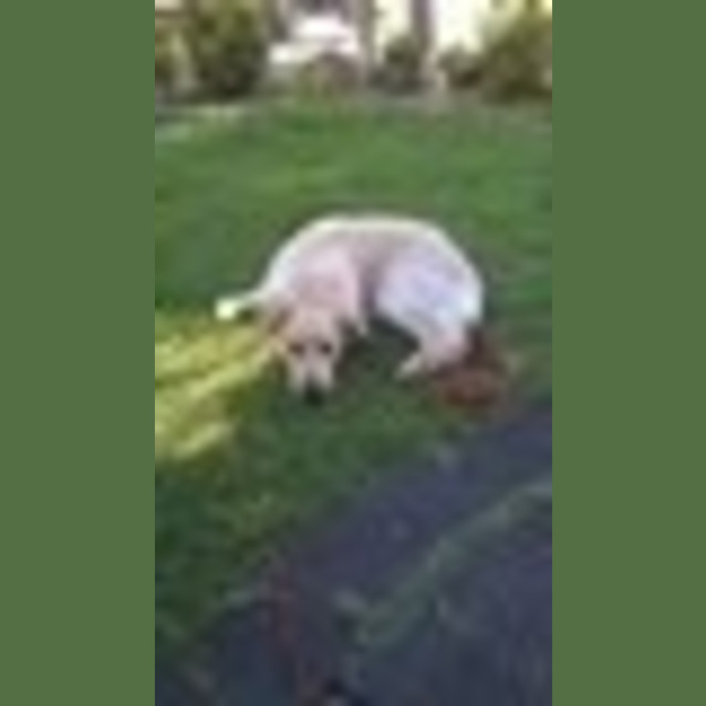 Photo of Libby