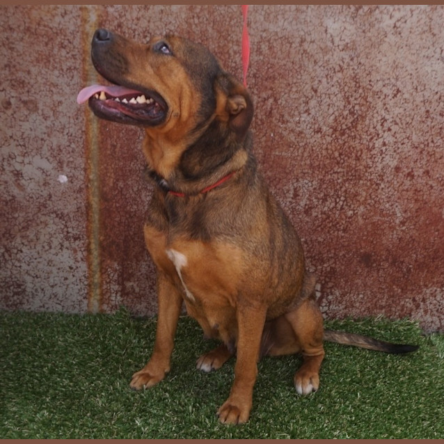 Photo of Cadbury
