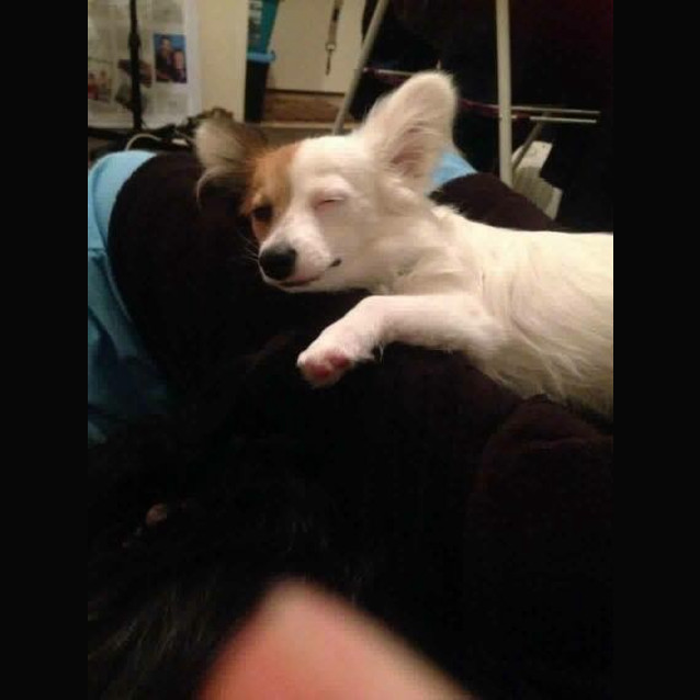 Photo of Sheldon (And Hope)