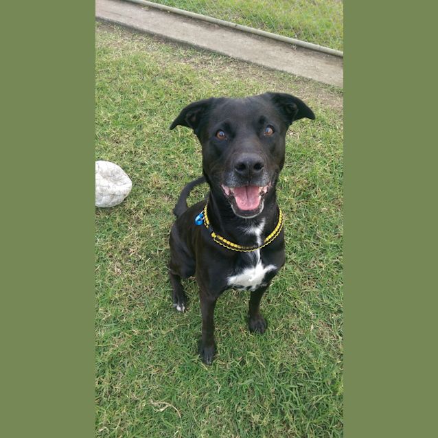 Photo of Roxy