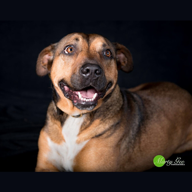 Photo of Buddy