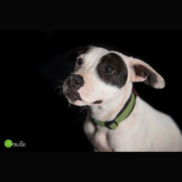 Photo of Harriett Heart Nose