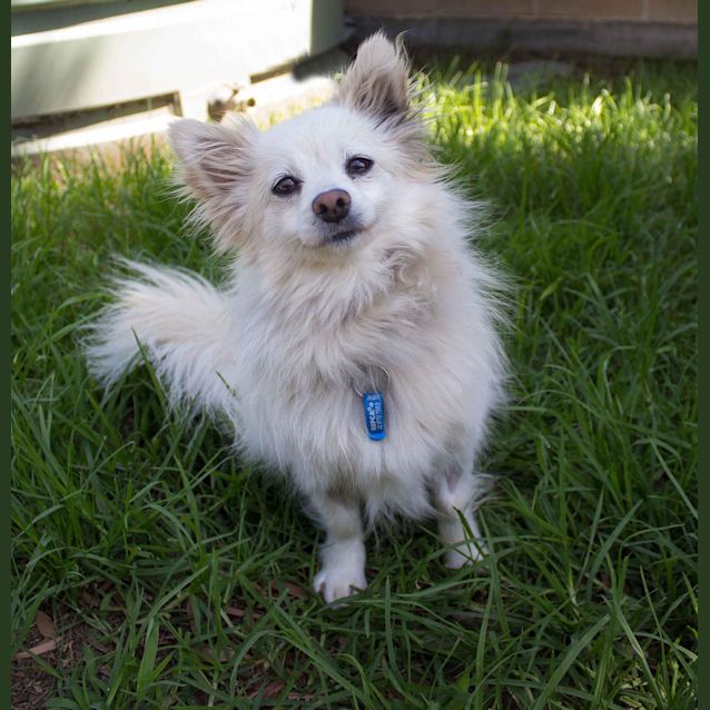 Photo of Lilly