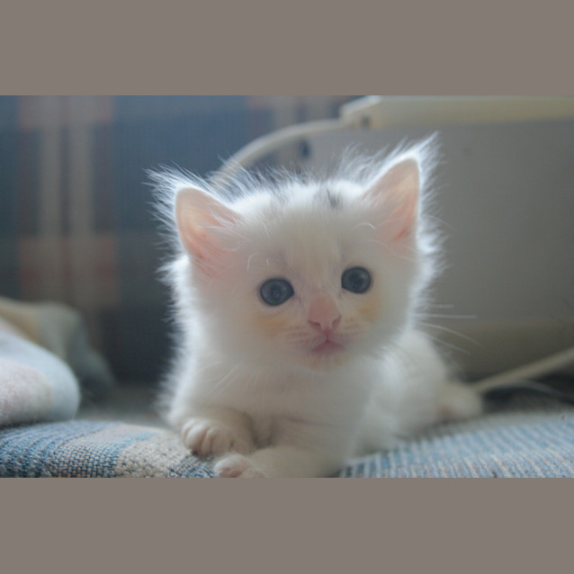 Photo of Holly