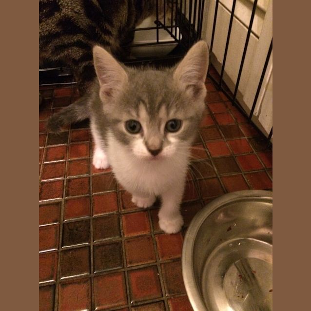 Photo of Blue