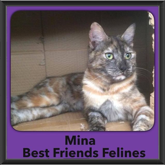 Photo of Mina