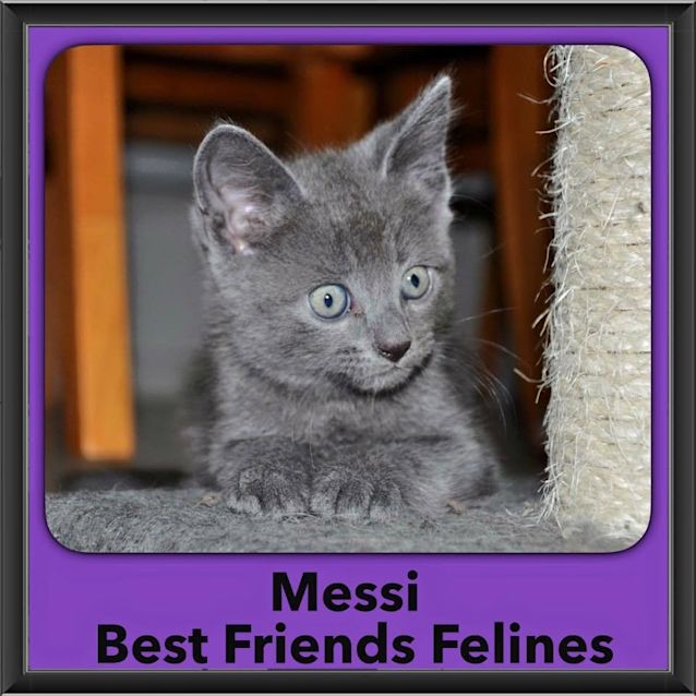 Photo of Messi